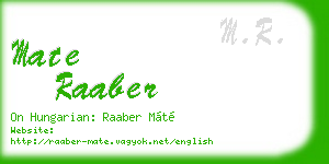 mate raaber business card
